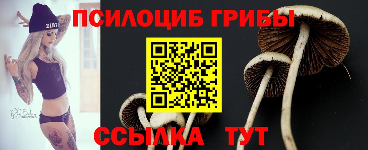 Нижневартовск  Псилоцибиновые грибы Cubensis  Псилоцибиновые грибы Psilocybine cubensis  Вход с VPN 
